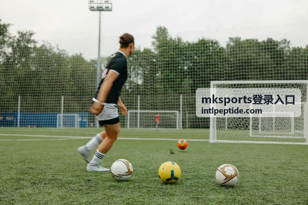 mksports登录入口账号保护状态说明示意