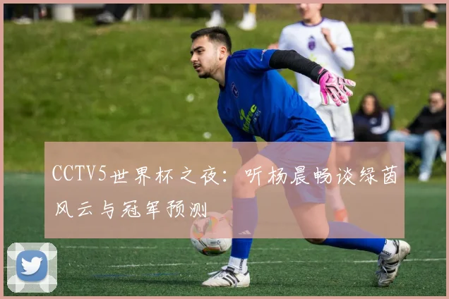 CCTV5世界杯之夜:听杨晨畅谈绿茵风云与冠军预测