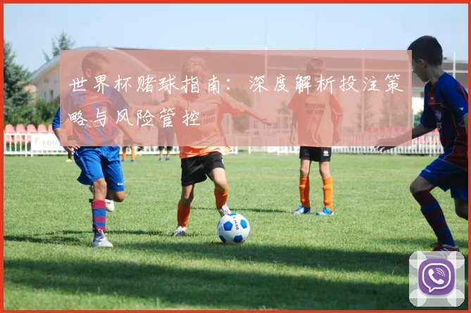 世界杯赌球指南：深度解析投注策略与风险管控