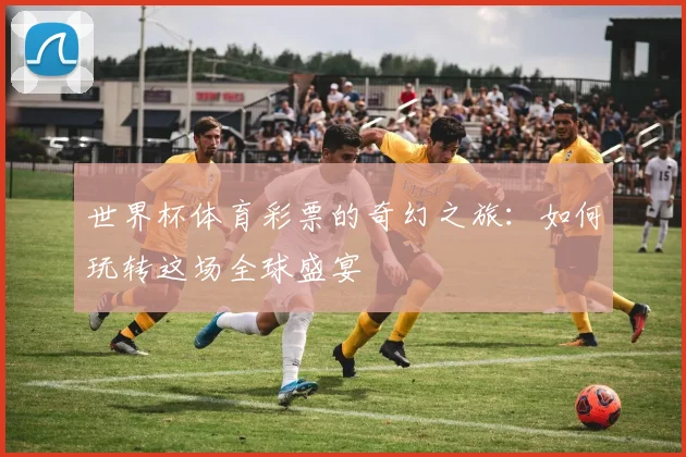 世界杯体育彩票的奇幻之旅：如何玩转这场全球盛宴