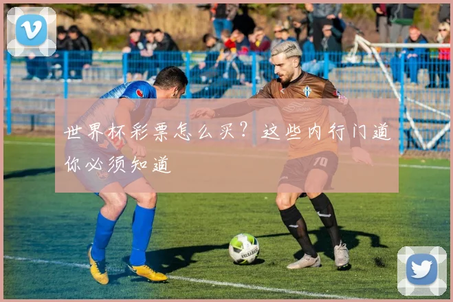 世界杯彩票怎么买?这些内行门道你必须知道