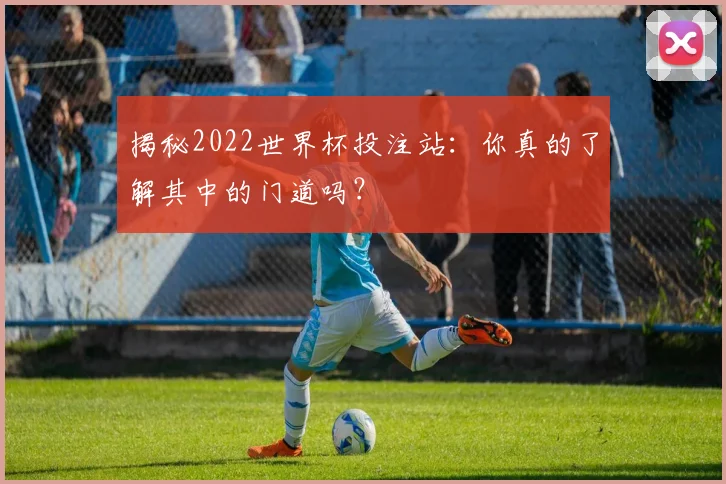 揭秘2022世界杯投注站：你真的了解其中的门道吗？